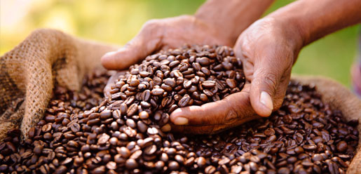coffee_placeholder5